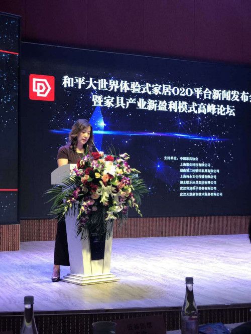 武汉和平科技集团股份有限公司总裁 武汉和平大世界新科技有限公司董事长 966情景体验空间创始人 黄海音女士