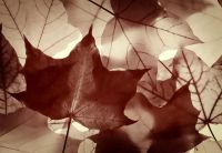 【YASLAN】地板、家具和墙布在家中的地位有多重要