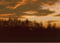 大自然地暖实木地板：莫塔马湾山游记