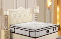 东宝床垫以青年之姿共筑未来中国梦