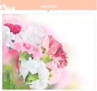 母亲节｜益脉通智能床垫，千里之外守护你入眠！