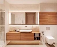 “全卫定制”席卷家居市场 卫浴企业转型迫在眉睫