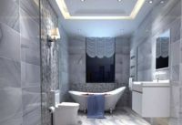 “全卫定制”席卷家居市场 卫浴企业转型迫在眉睫