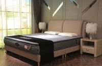 端午佳节：东宝床垫为您带来“与粽不同”的全新体验