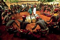 莫干山实木地板-圆盘豆|走进原始神秘的非洲，用心聆听生命的故事