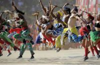 莫干山实木地板-圆盘豆|走进原始神秘的非洲，用心聆听生命的故事