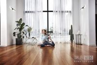 全场景实木体验 “圣象力量”年中消费升级盛宴引爆全国