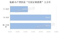 2019 全屋定制（样本品牌）调研报告【综述：行业发展现状、建议】