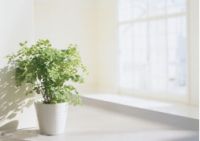 全心爱，放心爱！来自莫干山三层实木复合地板的实力守护