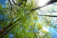 测评|柏尔实木地暖地板：“我也想低调；实力不允许啊···”