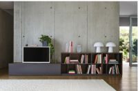 探索Ligne Roset简而不凡的电视柜