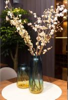 成品+定制大融合，城市之窗引领行业突围