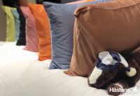 缤纷清爽，海丝腾纯缎系列床品伴您恬睡一夏