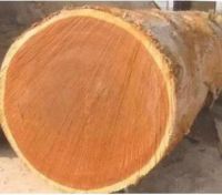 80年方成材，一起来揭秘大自然印茄地暖实木地背后的故事