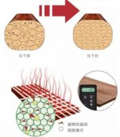 80年方成材，一起来揭秘大自然印茄地暖实木地背后的故事