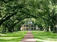 莫干山三层实木复合地板#彼岸骄子#，爱达彼岸，释放傲娇！