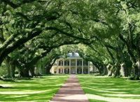 莫干山三层实木复合地板#彼岸骄子#，爱达彼岸，释放傲娇