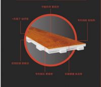 【扬子地板】探索纯实木地热地板背后的奥秘