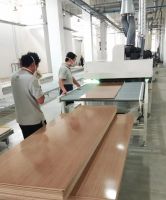 美涂士助力索菲亚打造定制家具精品