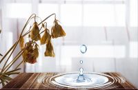 安信实木地板品鉴：掌握好湿度，才能拥有风度