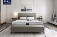 美国特莱卡秉承专业领跑护脊床垫市场