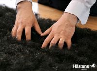 来海丝腾遇见完美之床，定制你的专属睡眠