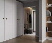 华府板材丨今年衣柜流行这样装，2.8米大板让你一门到顶