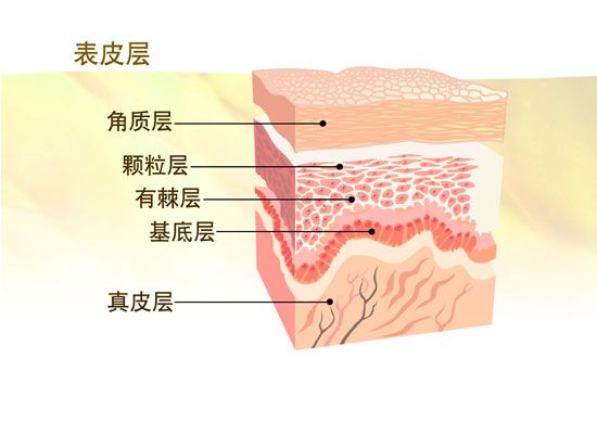 燕郊新浪<a href=