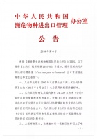 神秘园家具对假刺猬紫檀宣战 真刺猬紫檀一木难求