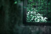 红日家具:枝己,意不直述的写意中式空间