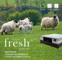 搭上进口床垫的赚钱快车，来卡思摩睡眠中心