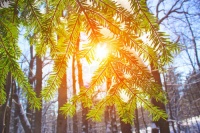 秋冬季节，地暖和实木才是天生一对