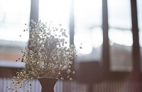 多层实木复合地板|冬有暖阳，家有莫干山，唯美好不可负