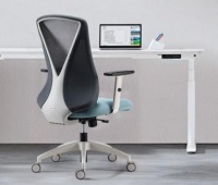 如何挑选合适的办公椅，圣奥社交化办公空间成新宠