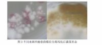 专家详解如何提升地下车库等潮湿空间“防霉力”