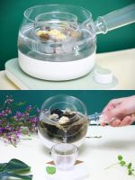 养颜又解暑 夏季花茶这么喝 鸣盏莲花壶陪你度过清凉一夏