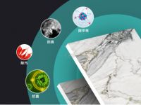 威尔斯健康生态砖，让绿色生活触手可及