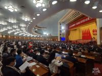 2020全国两会圆满结束，斯可馨家居展风采