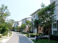 铜雀“春深”，三恒系统锁住的是诗意的生活