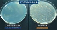 中科院细菌实验揭秘：夏天不敢乱开空调，原因都在这了！