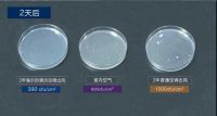 中科院细菌实验揭秘：夏天不敢乱开空调，原因都在这了！