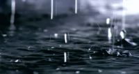 【YASLAN】梅雨季节，让雅诗澜墙布来拯救你的墙面！