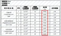 4招完美装修阳台：圆梦你的高级阳台！
