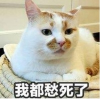 日立中央空调x天猫精灵，居家生活更easy!