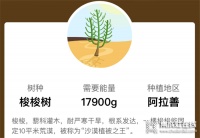 森歌将在阿拉善特地开启一场 全国核心经销商沙漠旅的峰会