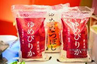 百年好合.燃向新生  林内100周年特别活动在沪举行