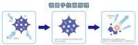 所见立净，未见长护丨东鹏整装卫浴强势推出健康新品“银漩系列”马桶