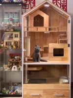 DOMEO豆喵：这对年轻的清华情侣，给流浪猫造了个“猫别墅