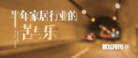 半年家居行业的苦与乐