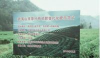 武夷瑞芳百年匠心成就好茶